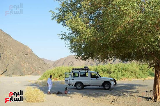 السفاري الجبلي (11)