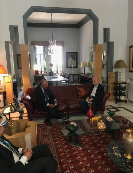 سامح شكرى ووليد جنبلاط