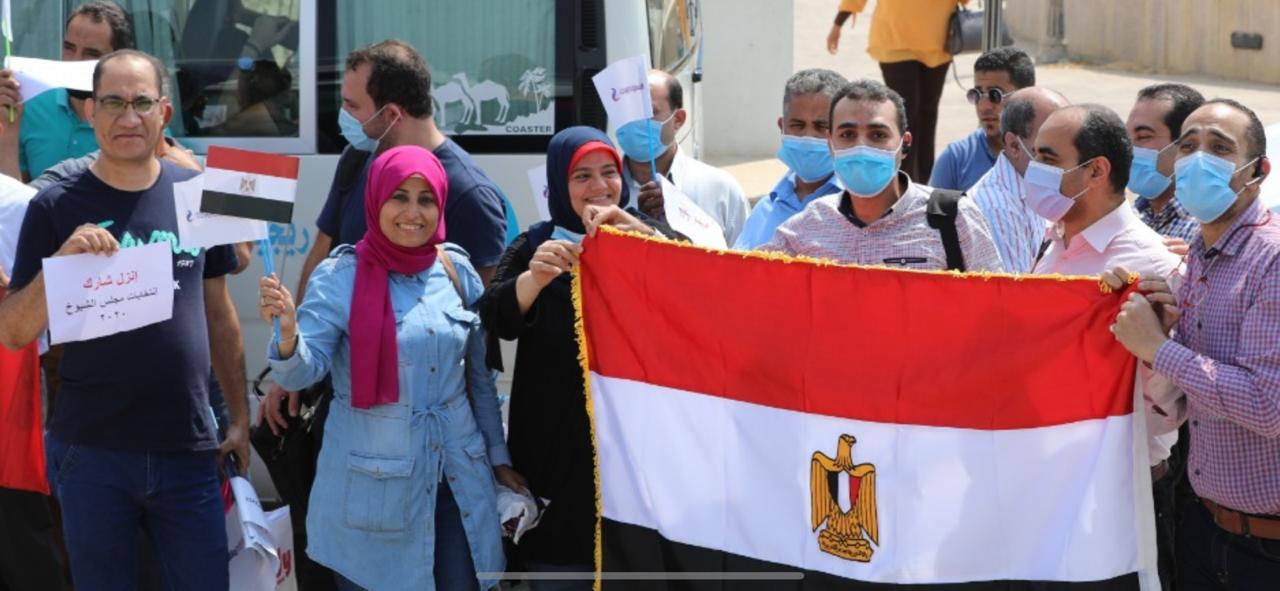 مشاركة المصريين بانتخابات مجلس الشيوخ