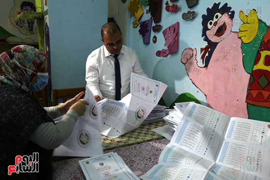 فرز انتخابات مجلس الشيوخ (21)