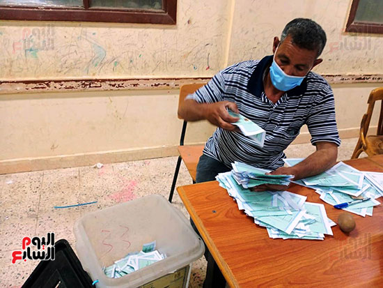 فرز انتخابات مجلس الشيوخ (29)