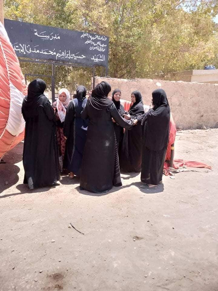 إقبال لسيدات قرى أسوان على اللجان (4)
