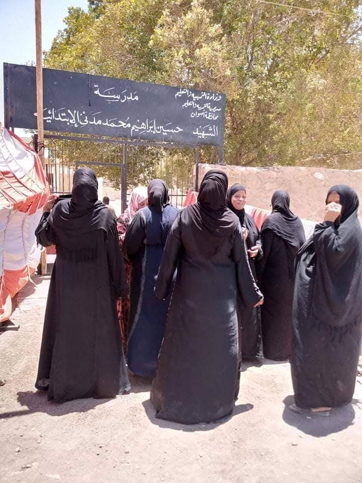 إقبال لسيدات قرى أسوان على اللجان (1)