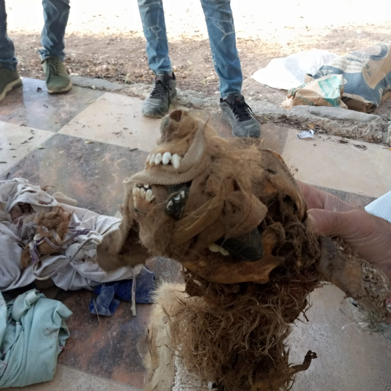 العثور على 306 أعمال سحر متكفنة داخل مقابر بسوهاج (29)