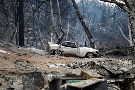 حرائق الغابات التى دمرت أكثر من 73 ألف فدان
