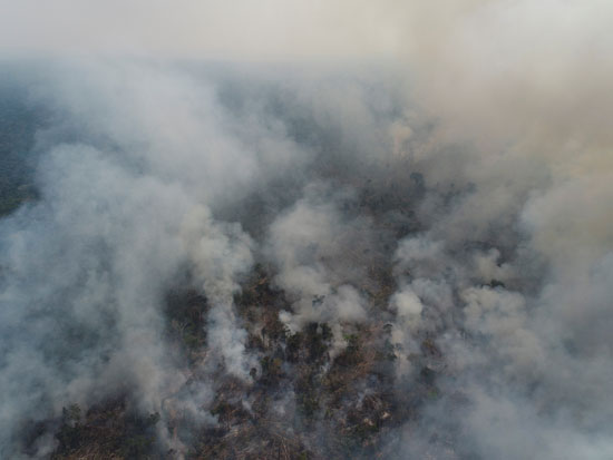الدخان يتصاعد من غابات الامازون