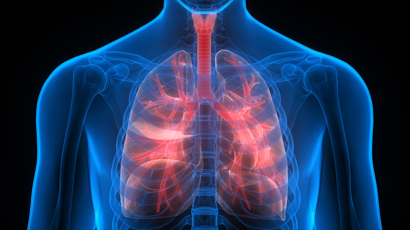 3347070_041518-cc-ss-copd-lungs-img