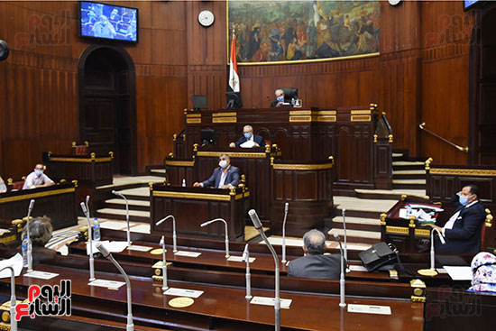 لجنة الخطة والموازنة بمجلس النواب (11)