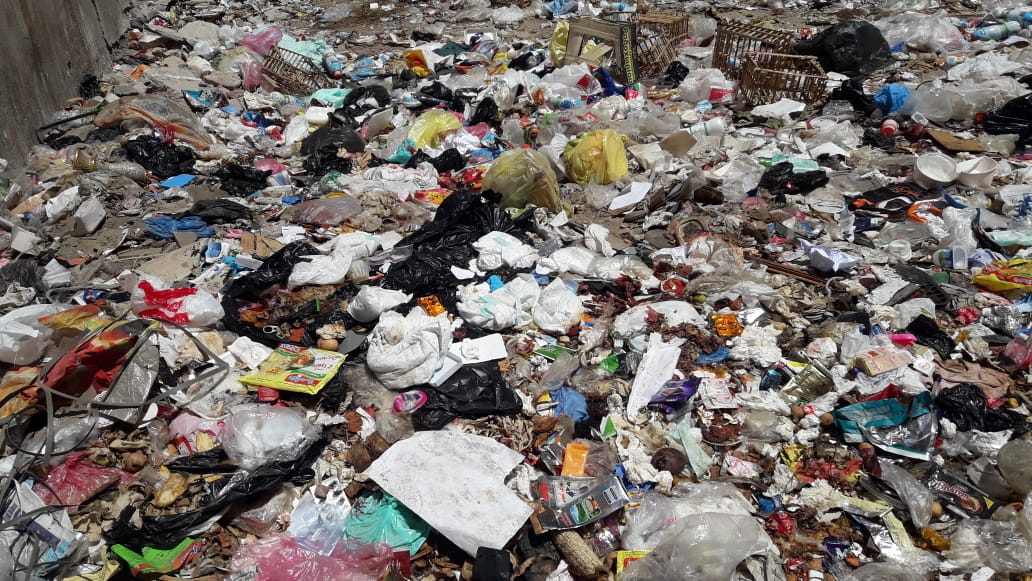 انتشار مقالب القمامة العشوائية بشوارع البحيرة (3)