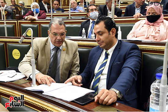 النائب عصام فاروق خلال الجلسة العامة
