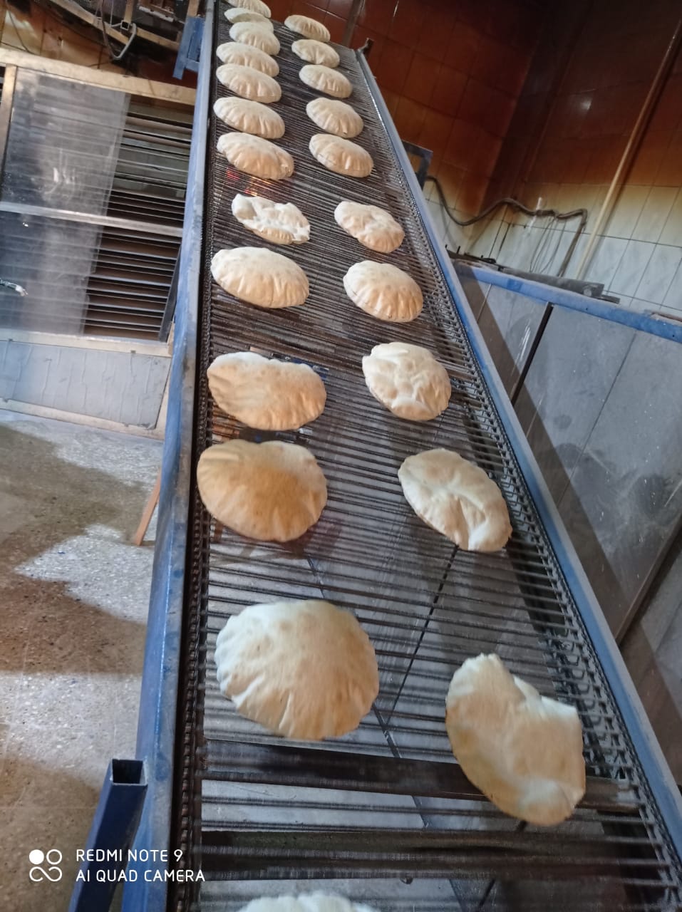 صرف الخبز اليوم  (8)