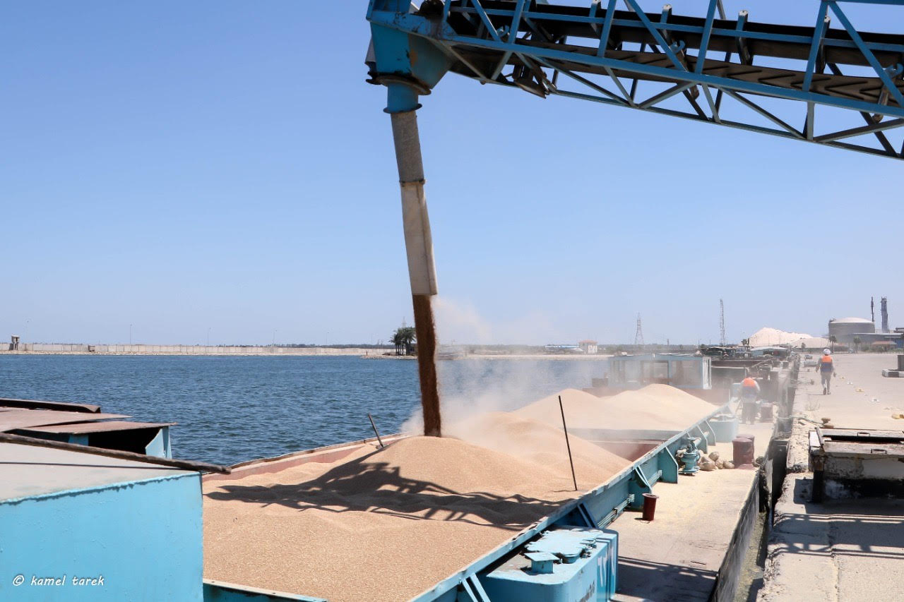 نقل شحنة من القمح من ميناء دمياط لصومعة إمبابة عبر نهر النيل  (1)