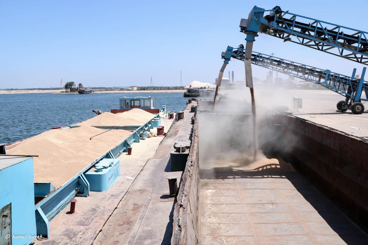 نقل شحنة من القمح من ميناء دمياط لصومعة إمبابة عبر نهر النيل  (3)