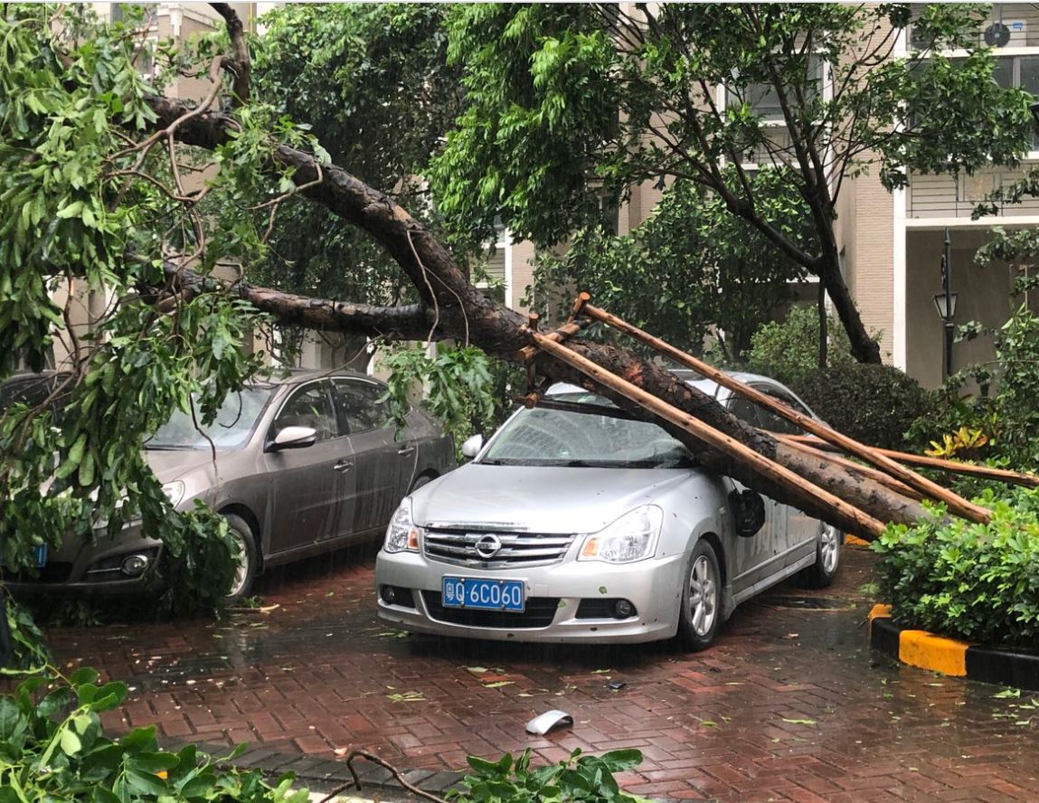 الإعصار هيغوس يضرب الصين بإمطار غزيرة (4)