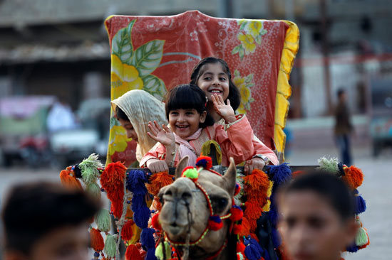 أطفال باكستانيون يركبون الجمل في كراتشي