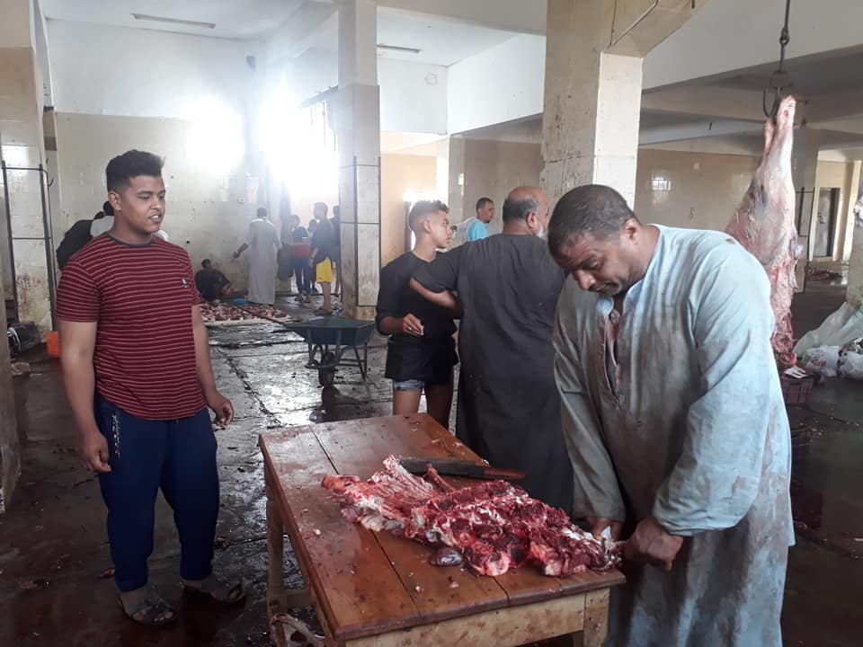 أعمال الذبح داخل مجازر الأقصر فى ثالث أيام عيد الأضحى المبارك (7)