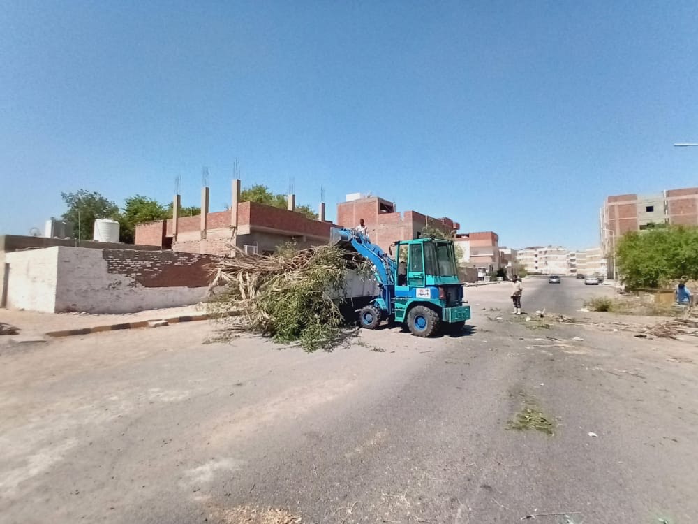 رفع 20 طن مخلفات نظافة وتجريد الأرصفة فى حملة على أحياء مدينة سفاجا (4)