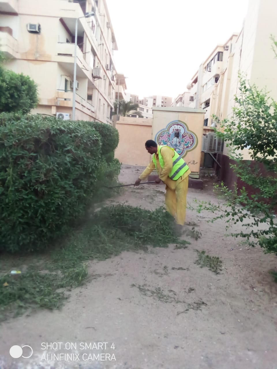 تكثيف أعمال النظافة ورفع مخلفات الاشجار بمنطقة أطلس باسوان (1)