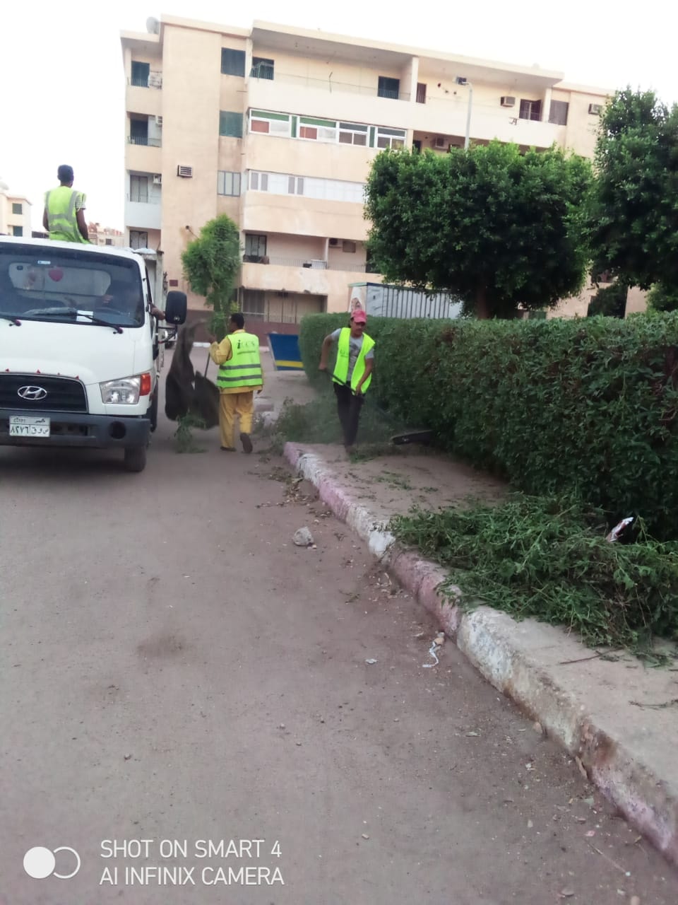 تكثيف أعمال النظافة ورفع مخلفات الاشجار بمنطقة أطلس باسوان (3)