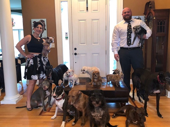 عائلة تحول منزلها لملجأ لرعاية الكلاب