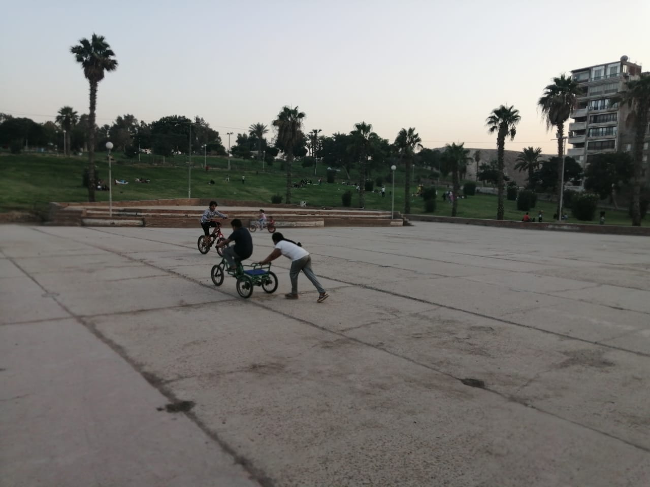 حديقة الفسطاط بالقاهرة  (3)