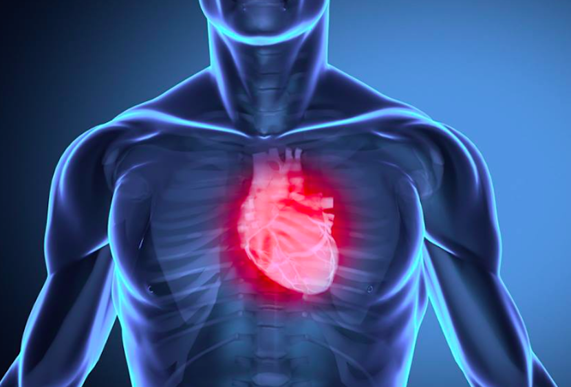 علاج التهاب عضلة القلب