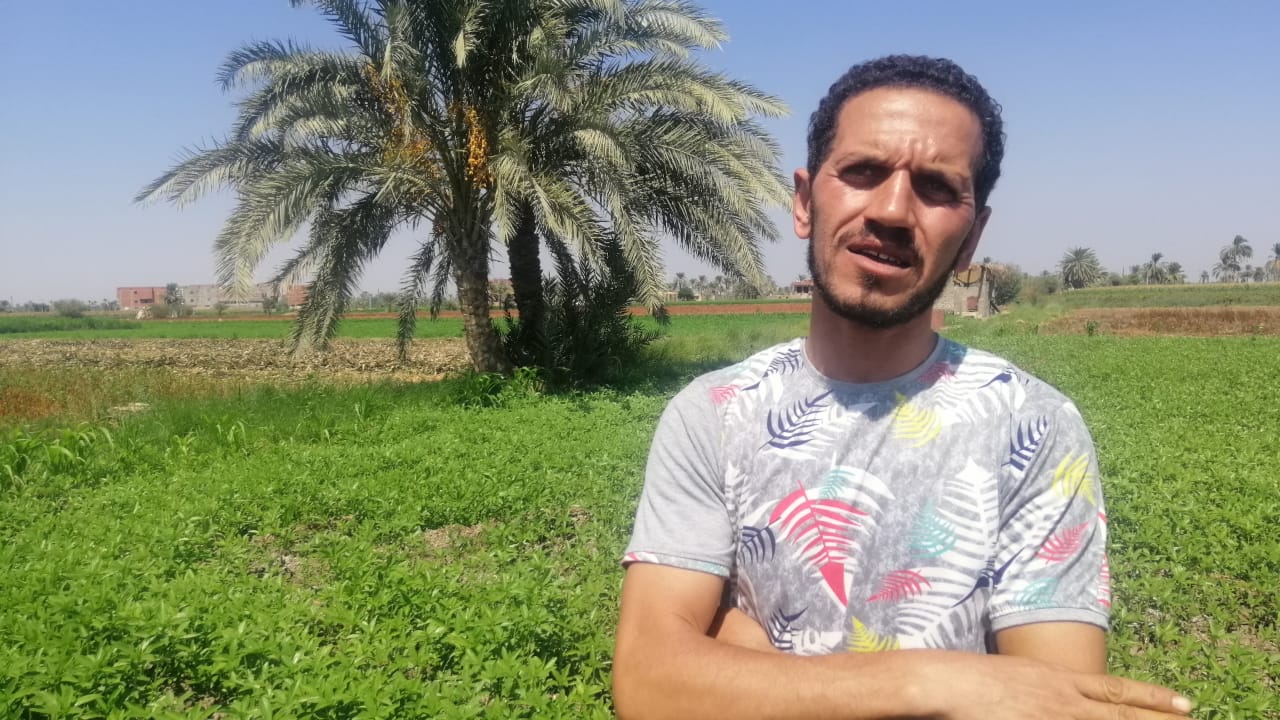 مصطفى احمد أحد المزارعين بمركز إطسا فى الفيوم (1)