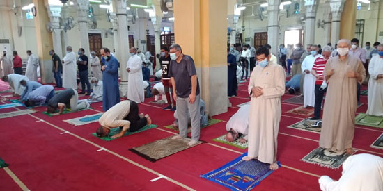اقبال المصلين على المساجد بالقليوبية (3)