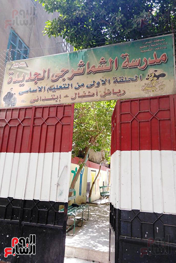 مدارس القاهرة تستعد لانتخابات مجلس الشيوخ 2020 (8)
