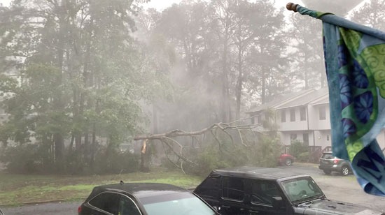 تهب رياح العاصفة على شجرة في شاطئ بيثاني