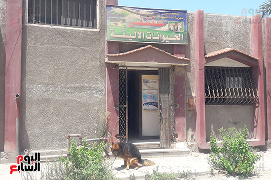 مستشفى الحيوانات الأليفة ببورسعيد (3)