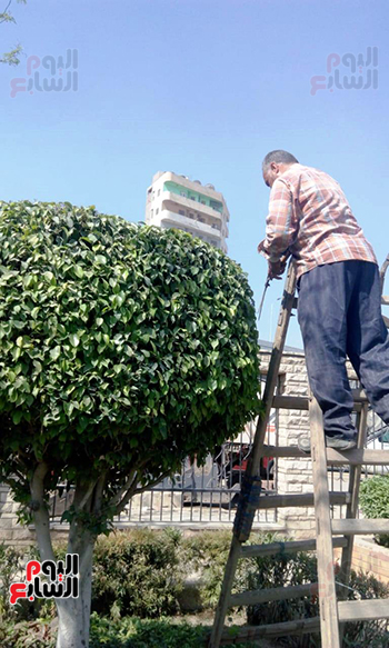 تجديد الحدائق بالقاهرة (12)