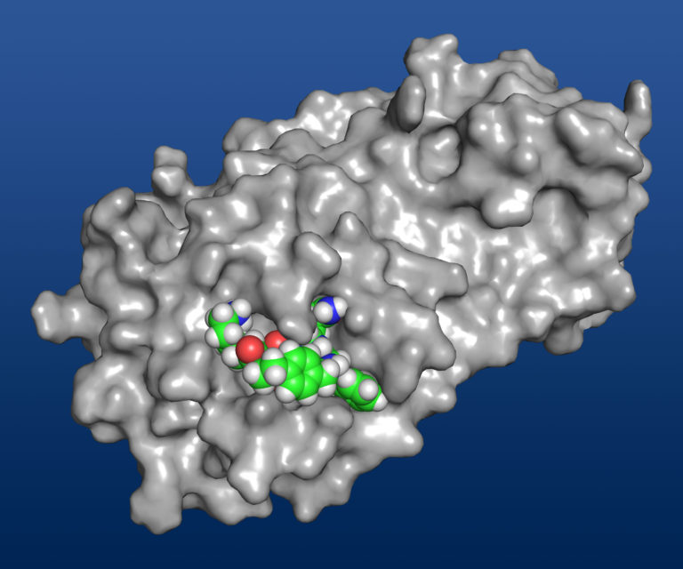 inhibitor1_bound_to_Mpro_spheres_blue-768x640
