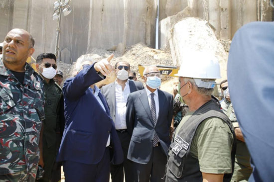 السيد-أبو-الغيط