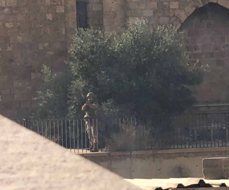 مظاهرات لبنان اليوم  (7)