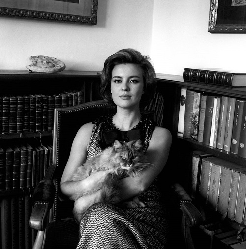 تدرس في المنزل مع قطتها الفارسية المحبوبة