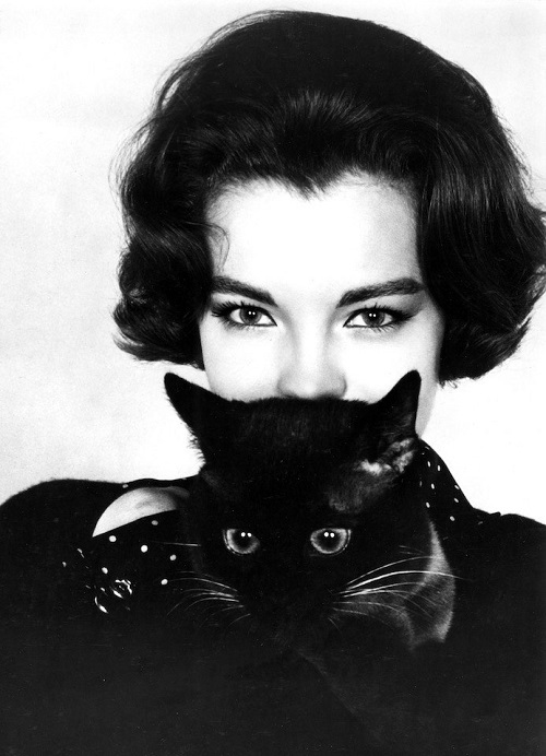 رومي شنايدر ترتدي زيًا أسود لامعًا ، وتحمل قطة سوداء بعيون هشّة