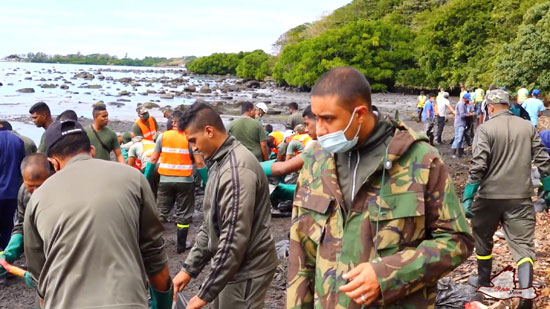 متطوعون يزيلون النفط من المياه متطوعون يزيلون النفط من المياه