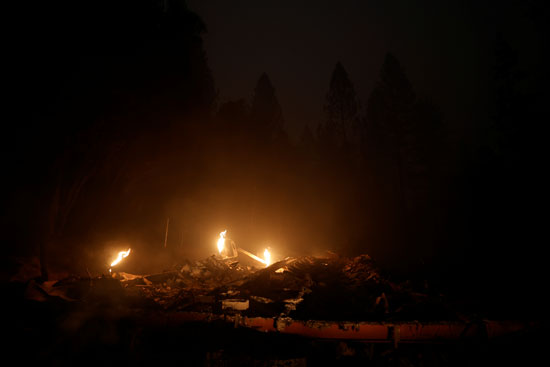 النيران تدمر الغابات