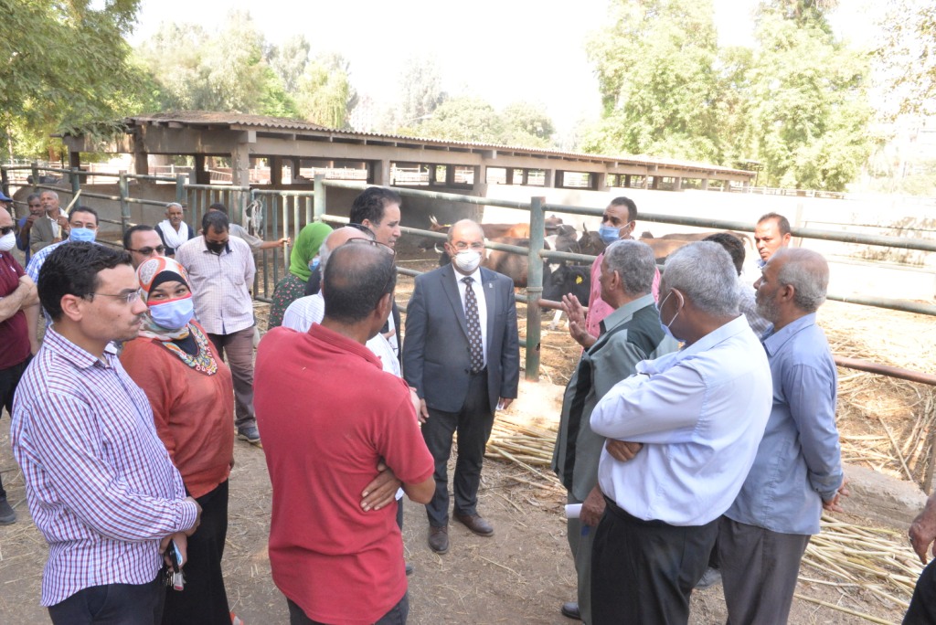 رئيس الجامعة خلال زيارته لمزارع الدواجن والماشية  (1)