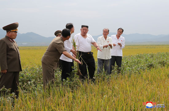 زعيم كوريا الشمالية وسط رجالة يتفقد الأراضى الزراعية
