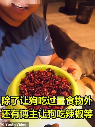 كلب يبكى بعد اجبار صاحبه تناول طعام بالفلفل الحار (1)