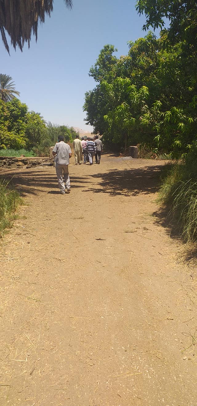 مقترح بانشاء كبارى معلقة على النيل شمال محافظة أسوان  (9)