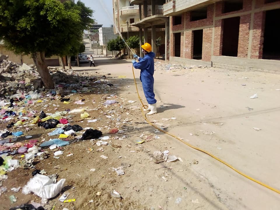 حملات لمكافحة القوارض والذباب بأحياء مدينة العريش (1)