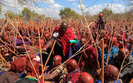 يعيش حوالي 1.2 مليون ماساي في كينيا