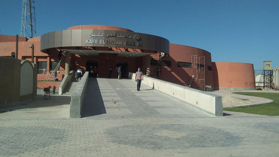 متحف كفر الشيخ (10)