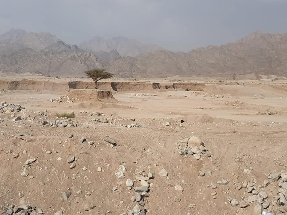 جهود الدولة لحماية جنوب سيناء من أخطار السيول  (21)