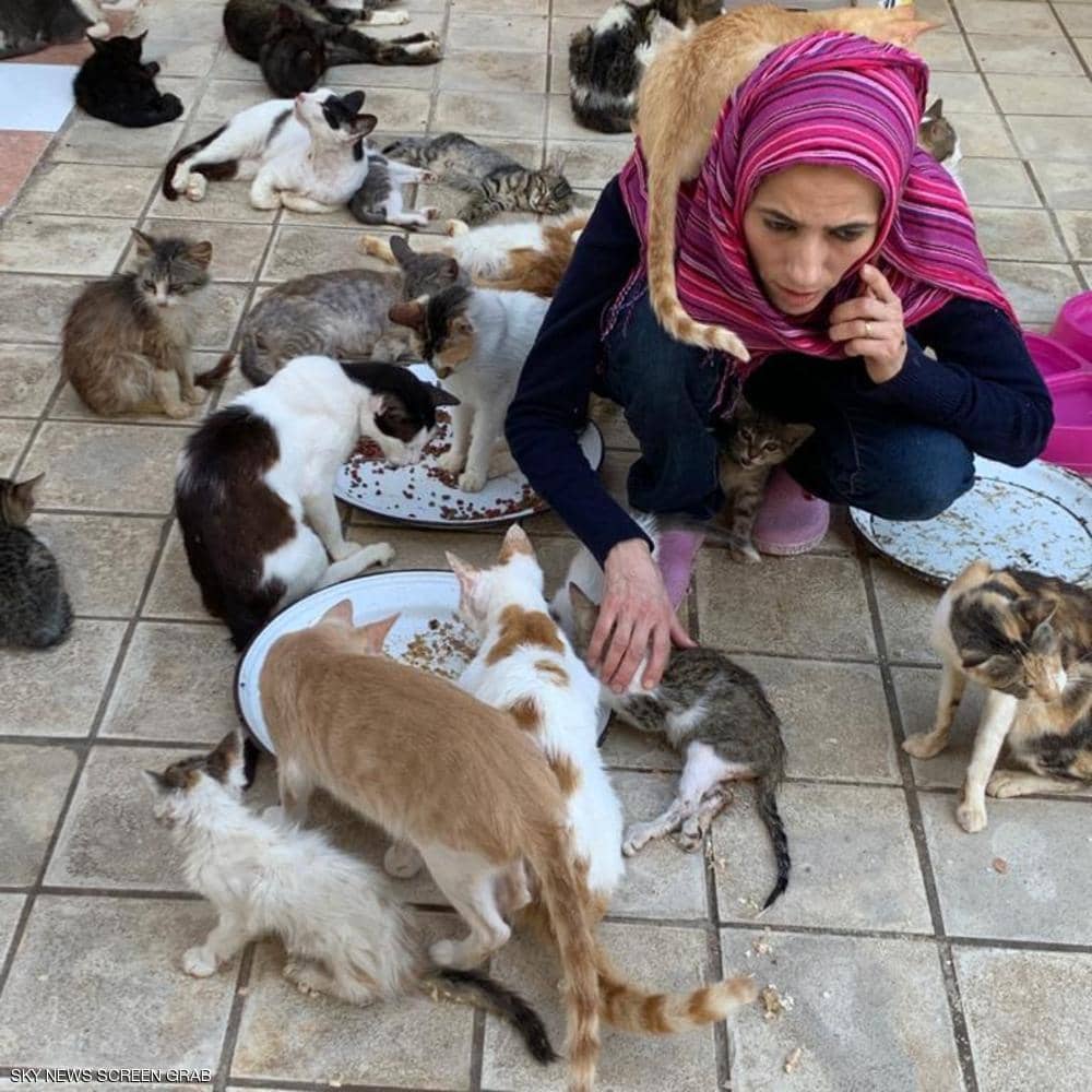 مغربية تحول منزلها إلى مأوي للقطط وتصفهم بـالأبناء