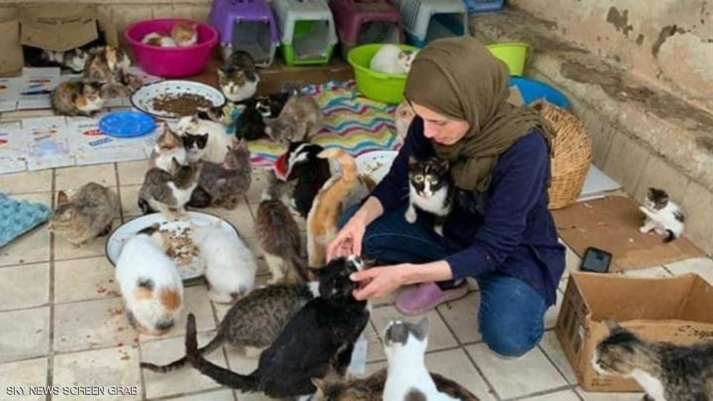 مغربية تحول منزلها إلى مأوي للقطط وتصفهم بـالأبناء