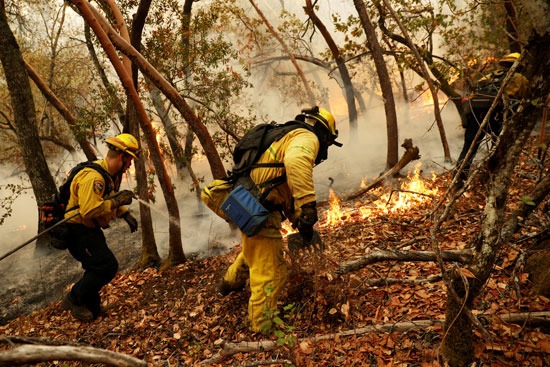 رجال الإطفاء تكافح حرائق الغابات فى ولاية كاليفورنيا (1)